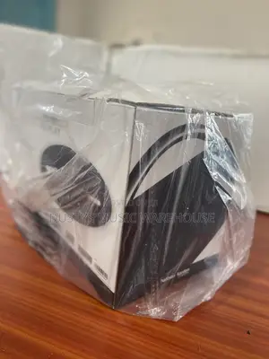 Harmon Kardon Go Play 2