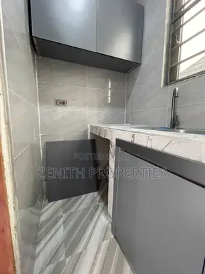 1bdrm Apartment in Zenith Properties, Dansoman for rent