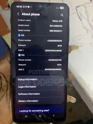 Samsung Galaxy A06 64 GB Gray