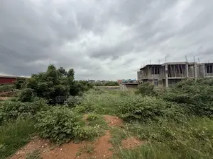 Borteyman Titled Plot