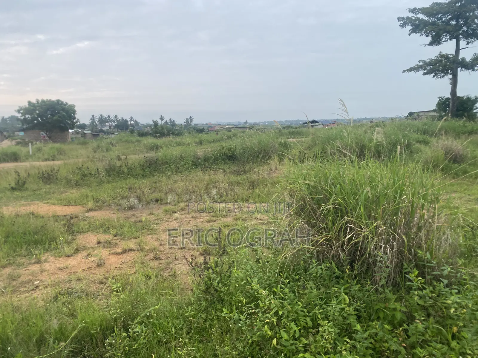 Serviced 100x100 Plot of Land for Sale at Adjen Kotoku