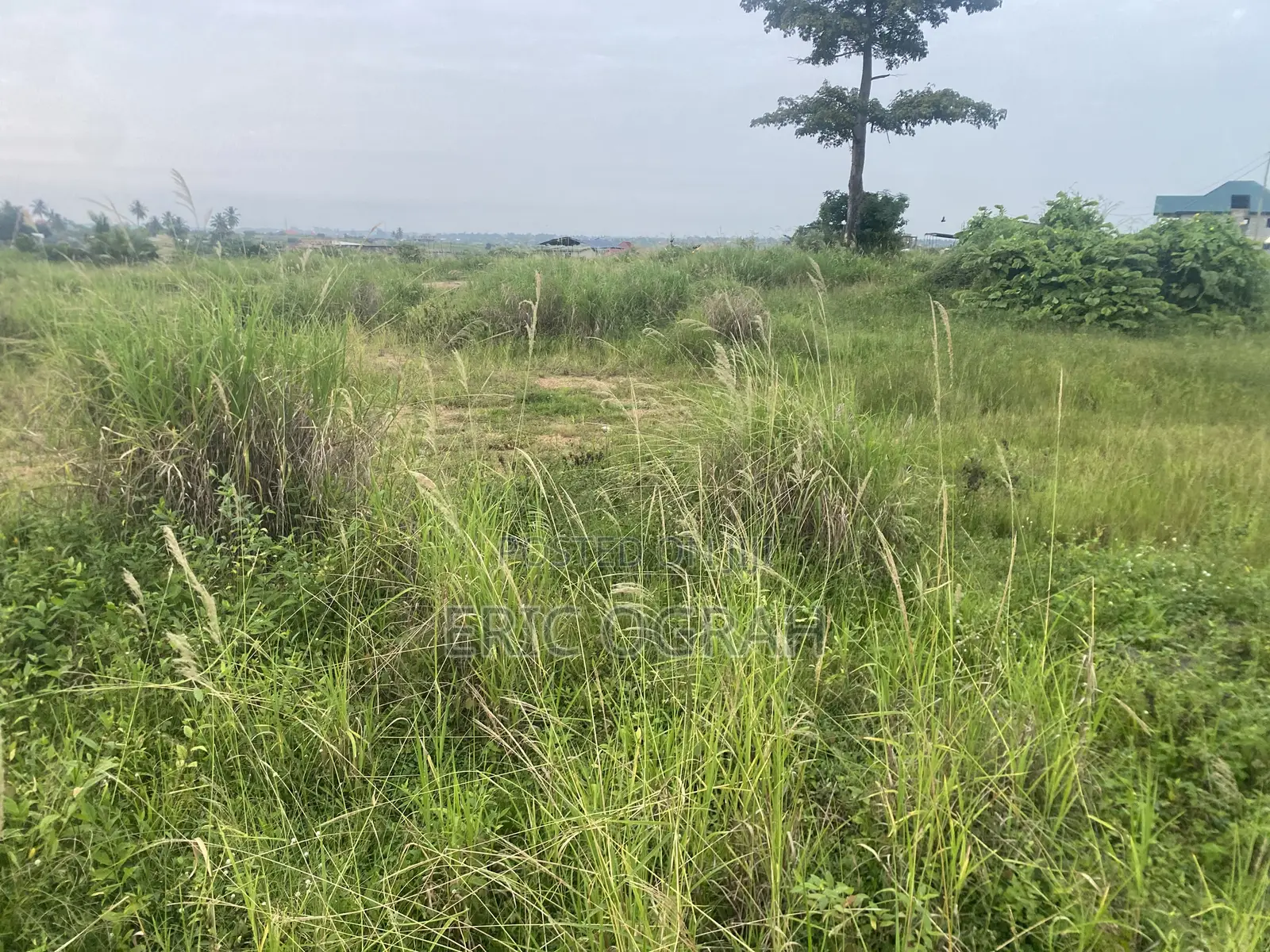 Serviced 100x100 Plot of Land for Sale at Adjen Kotoku
