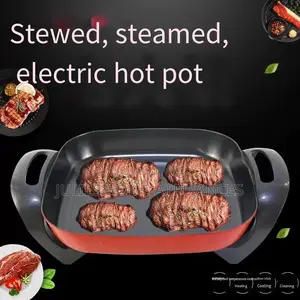 Electric Cooking Pot 5 Liters