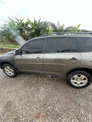 Toyota RAV4 2.5 4x4 2010 Brown