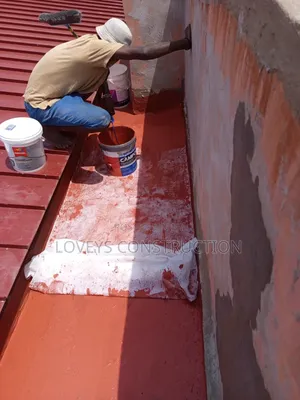 Roof Leakages Professional