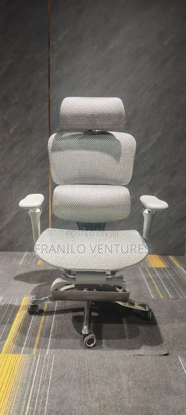 Ergonomic/ Executive Office Chair With Massage