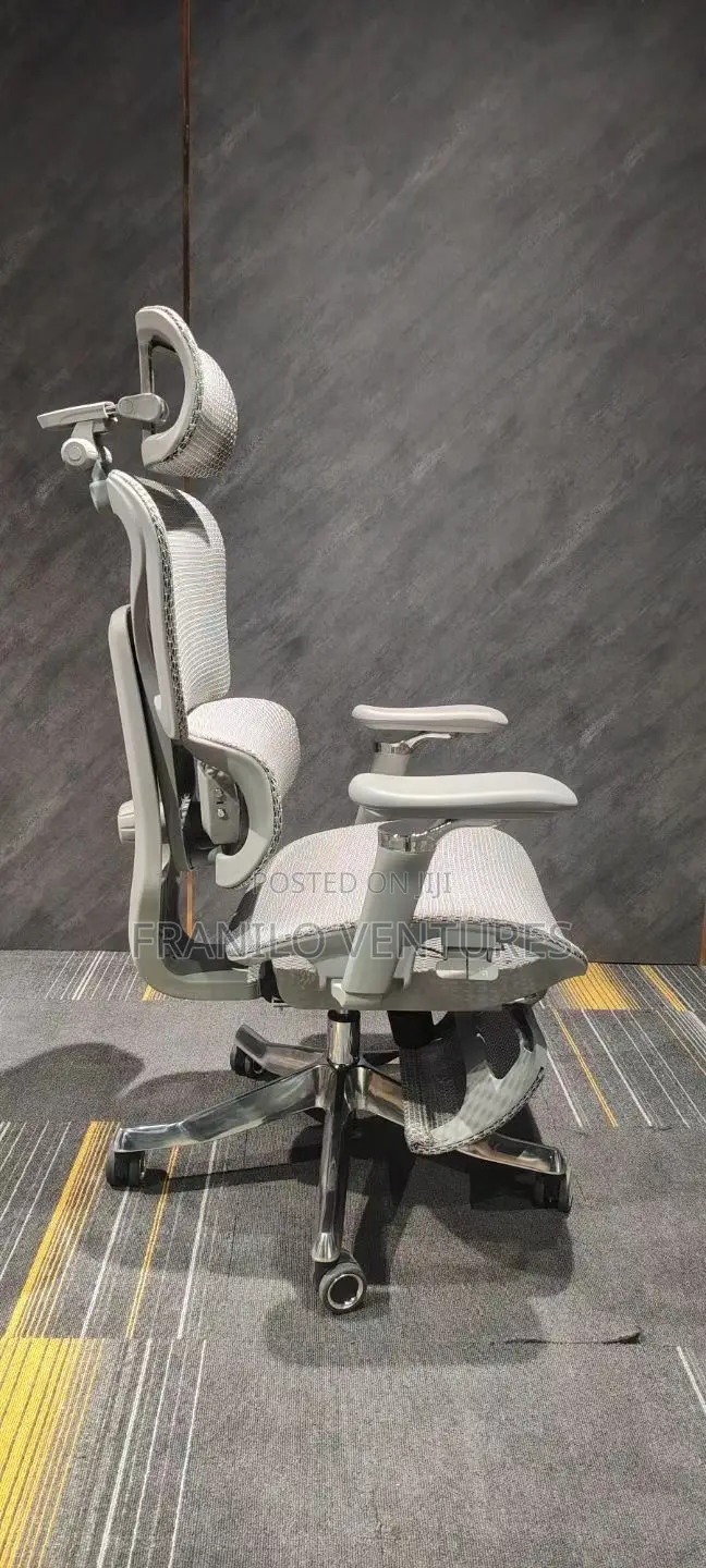 Ergonomic/ Executive Office Chair With Massage