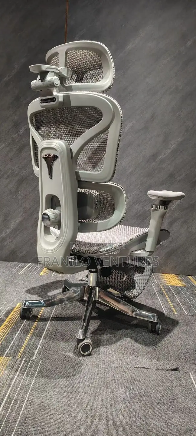 Ergonomic/ Executive Office Chair With Massage