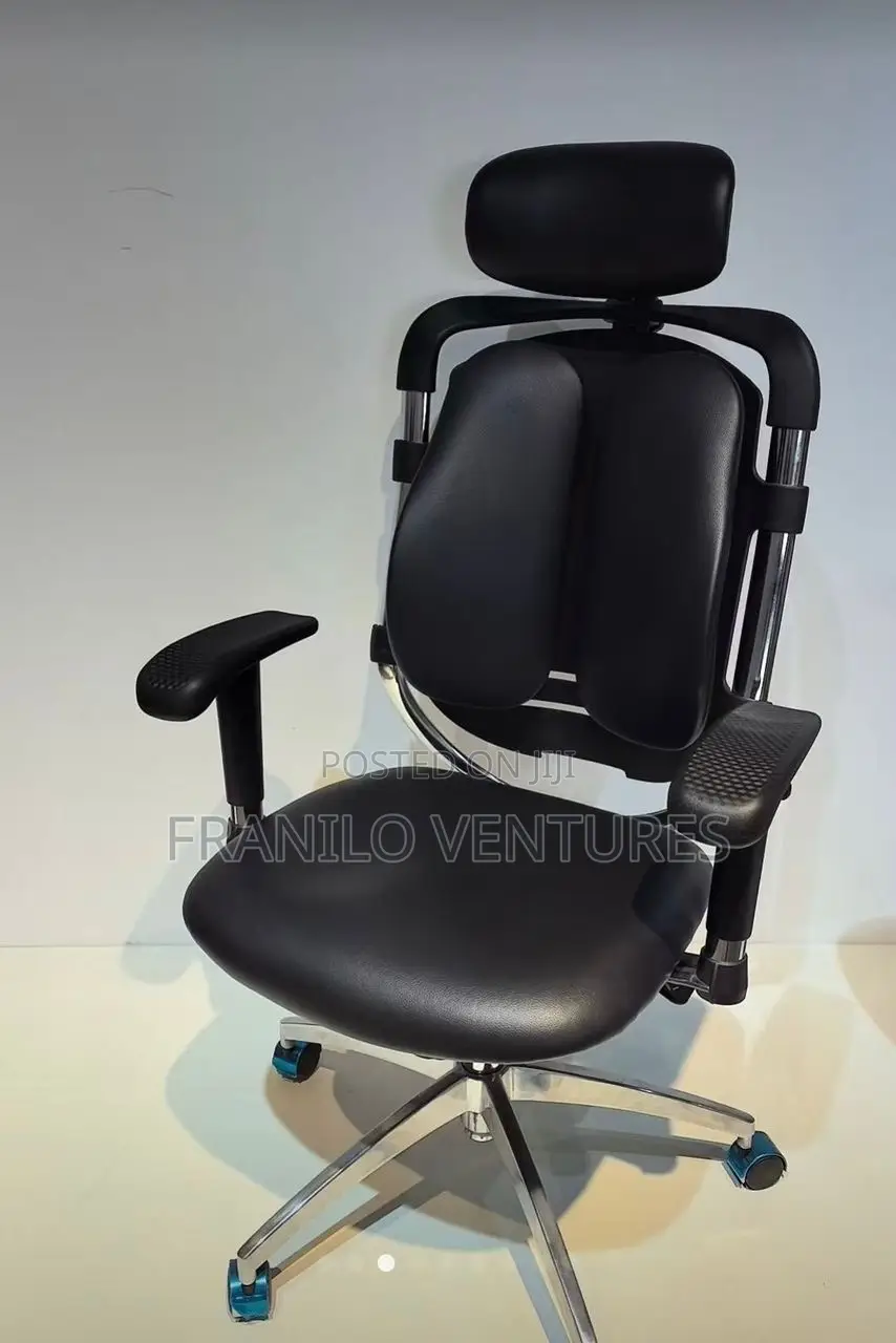 Orthopedic/ Executive Office Chairs