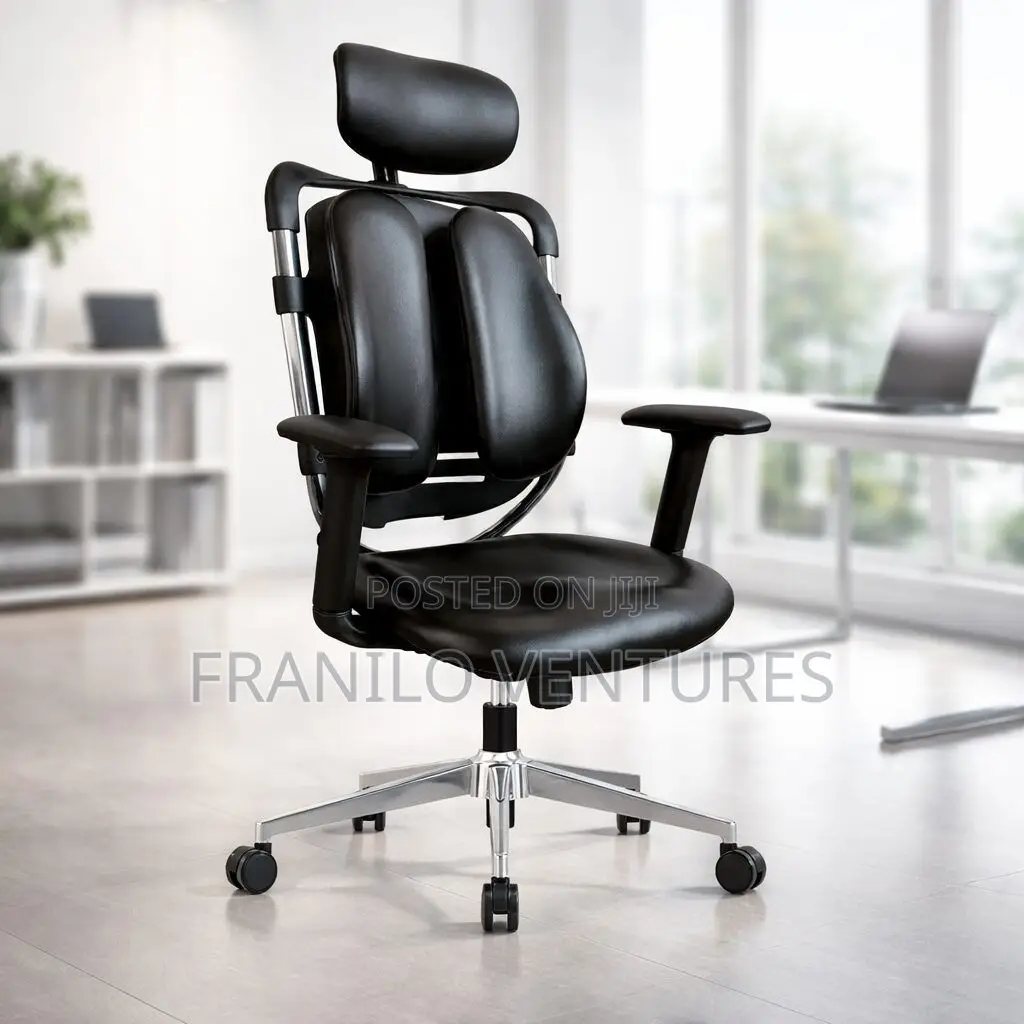 Orthopedic/ Executive Office Chairs