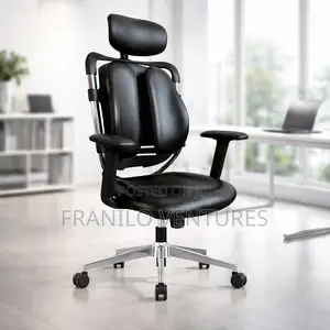 Orthopedic/ Executive Office Chairs