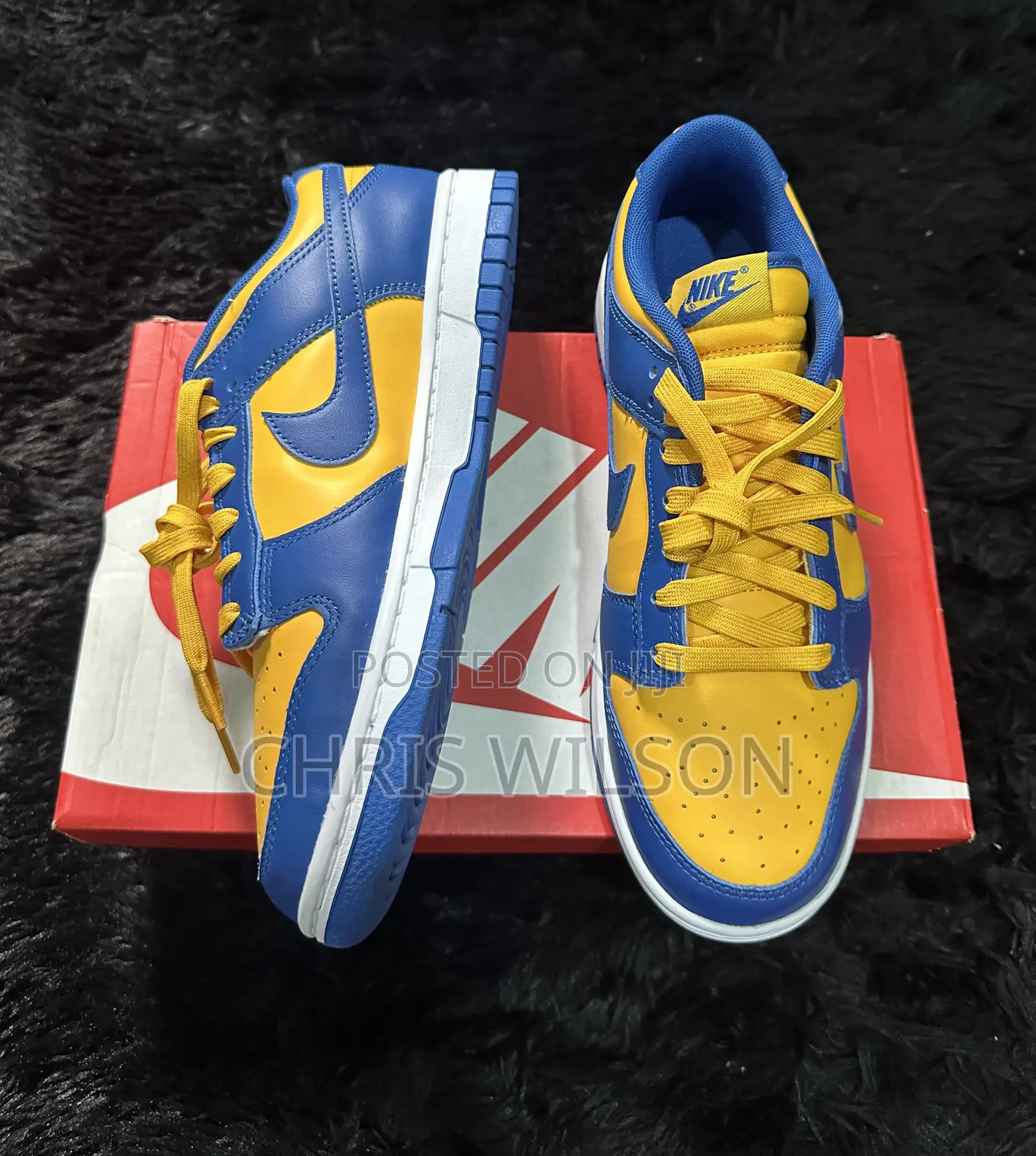 Nike Dunk Low Retro Ucla