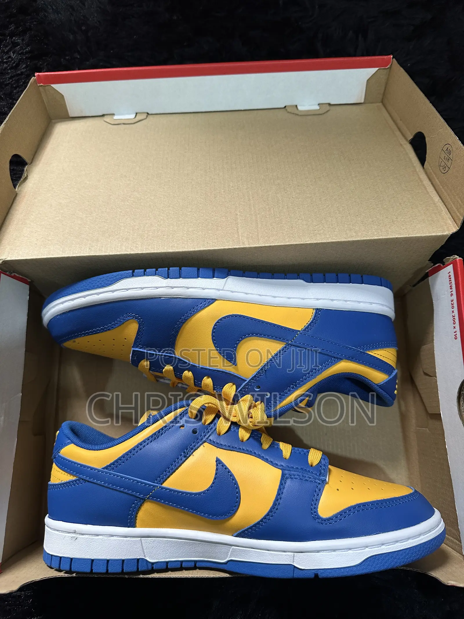 Nike Dunk Low Retro Ucla