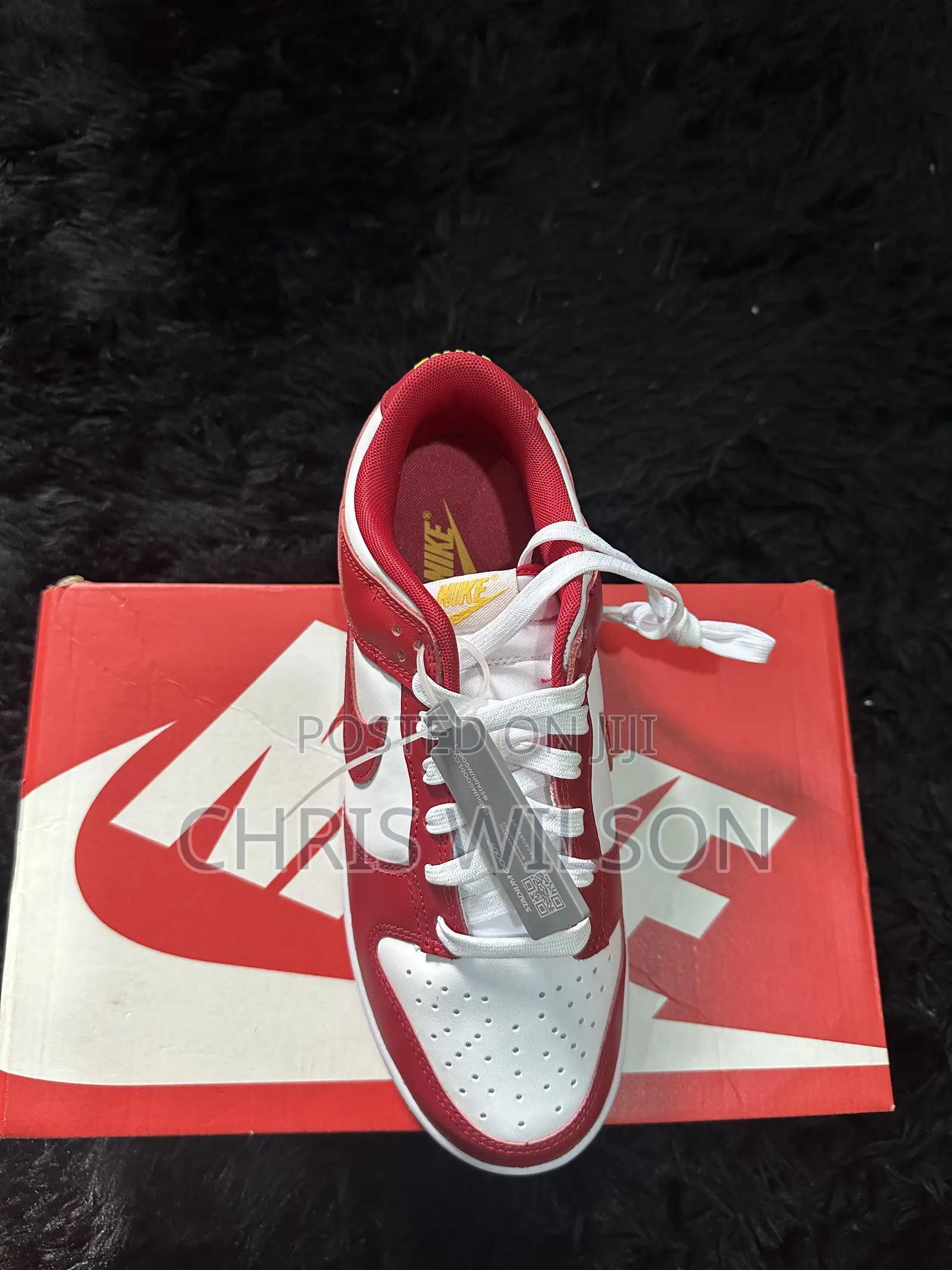Nike Dunk Low Retro Usc”