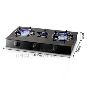 Auto Ignition Gas Stove