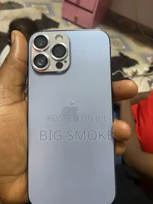 Apple iPhone 13 Pro Max 256 GB Silver