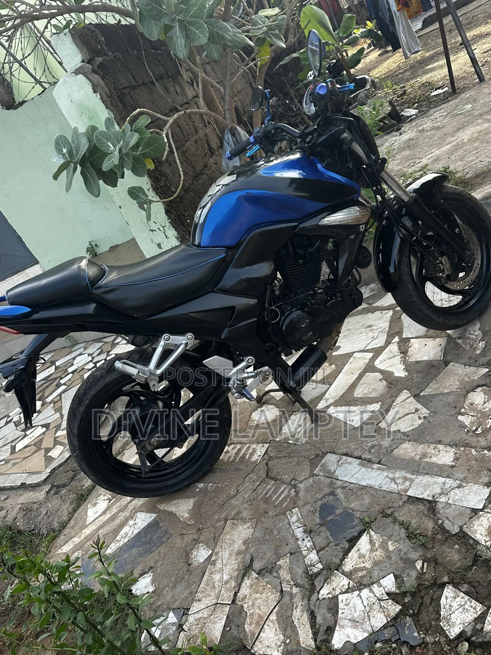 SYM Wolf 2018 Black