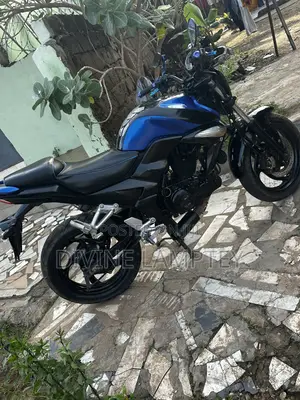 SYM Wolf 2018 Black