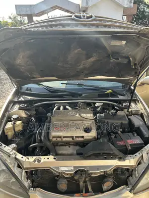 Toyota Camry LE V6 4dr Sedan (3.0L 6cyl 5A) 2005 Beige