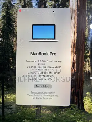 Laptop Apple MacBook Pro 2015 8GB Intel Core i5 SSD 128GB