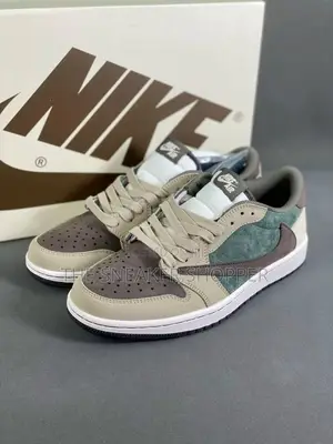 Jordan 1 Sb Low Dunks Simple Colors Available