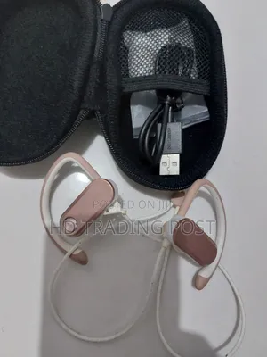 Blackweb Wireless Sports Ear-Hook Ipx4 Water-Resistant Headphones