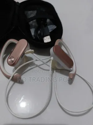 Blackweb Wireless Sports Ear-Hook Ipx4 Water-Resistant Headphones