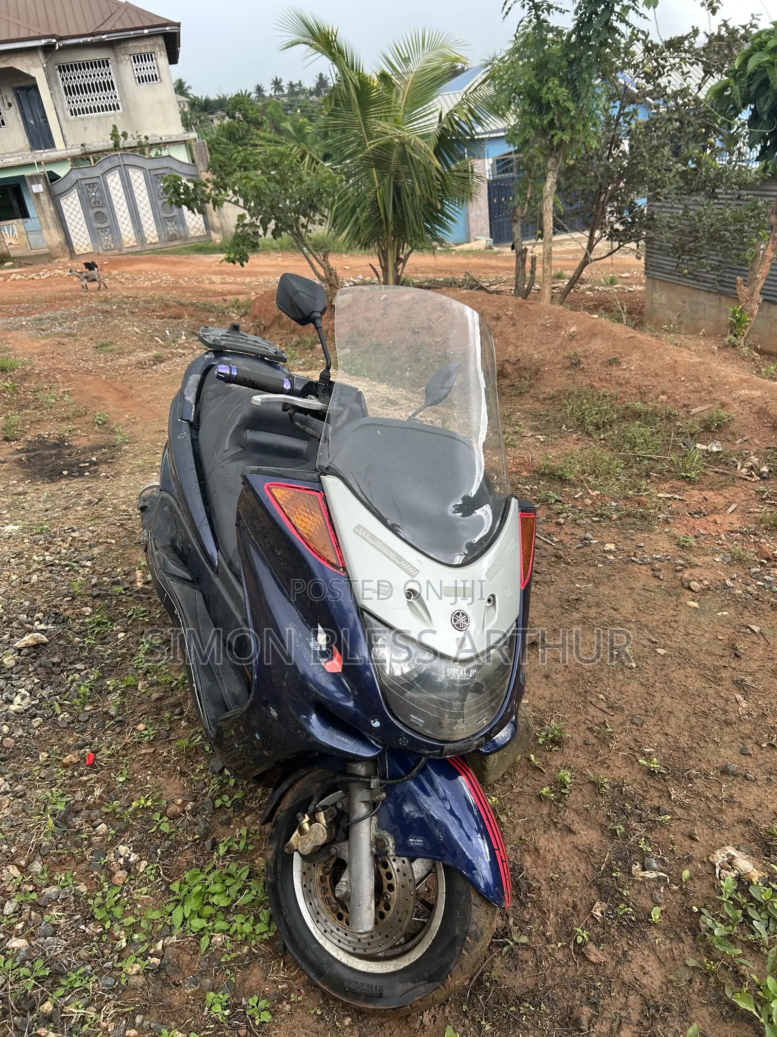 Yamaha Majesty 2014 Blue
