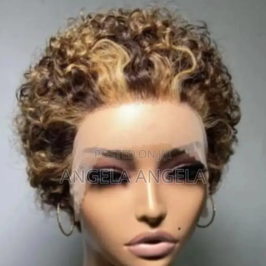 Hair Wigs, Braiding Wigs