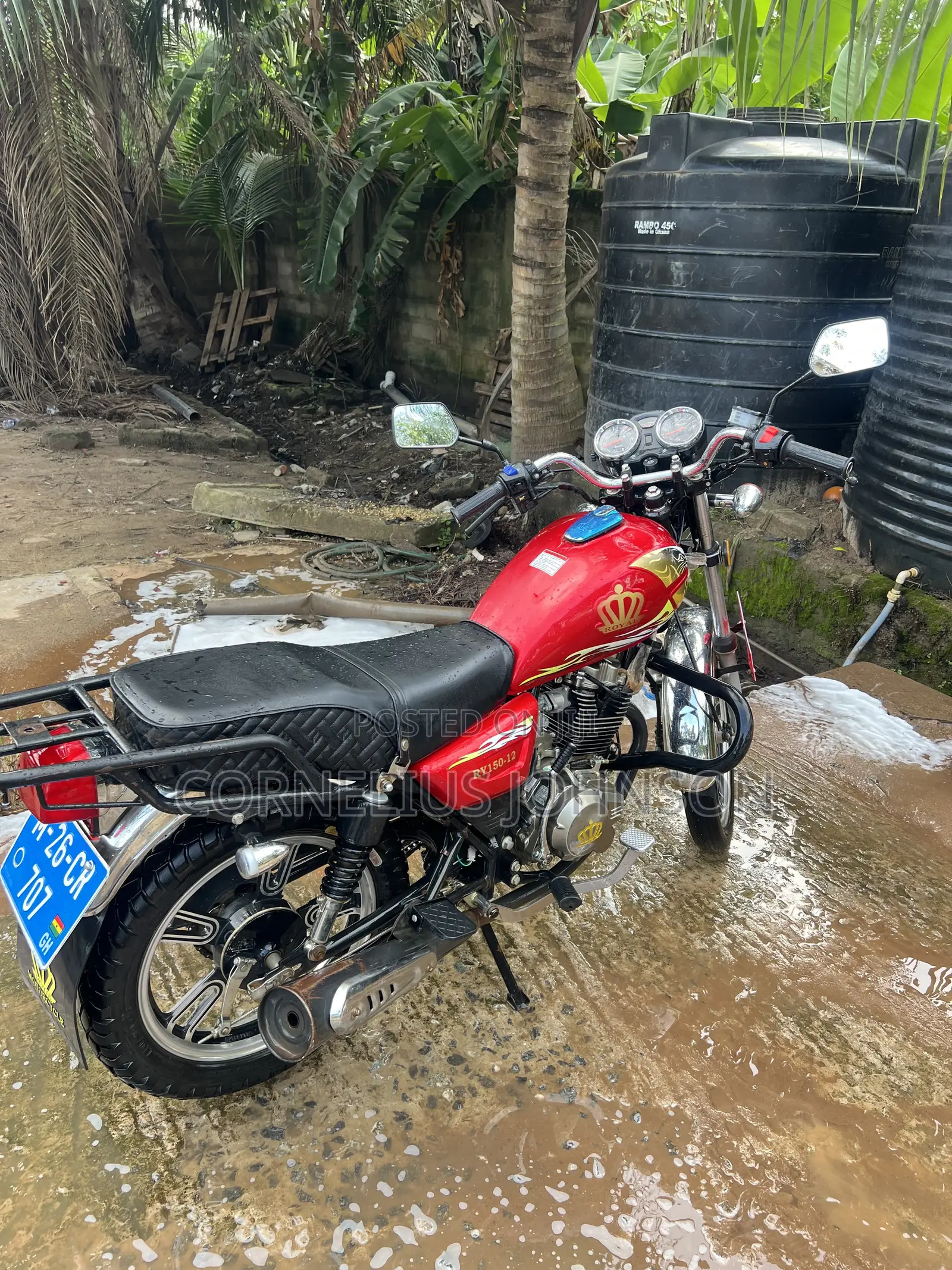Royal RY150 2025 Red