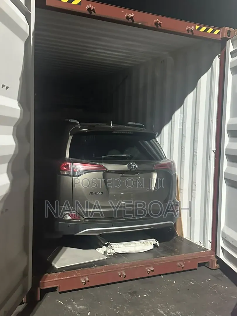 Toyota RAV4 LE AWD (2.5L 4cyl 6A) 2016 Gray