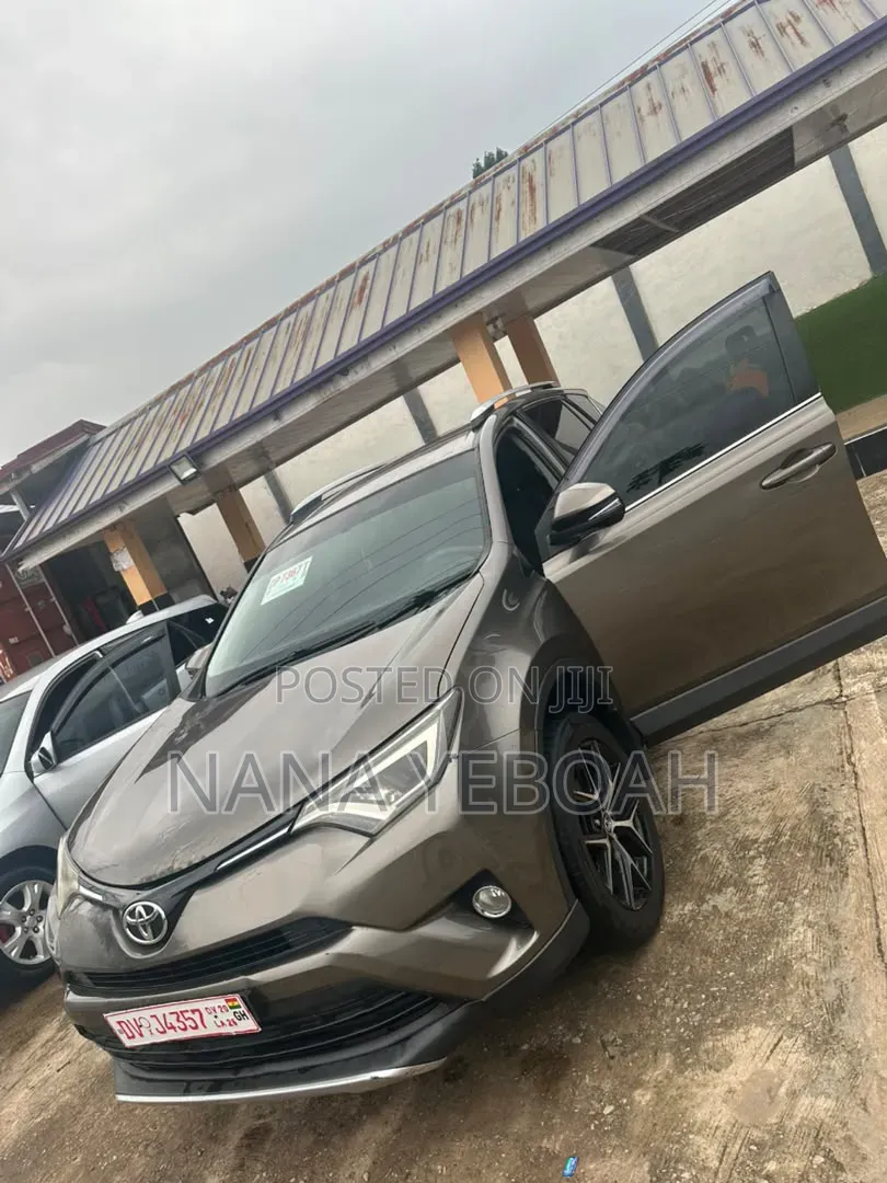 Toyota RAV4 LE AWD (2.5L 4cyl 6A) 2016 Gray