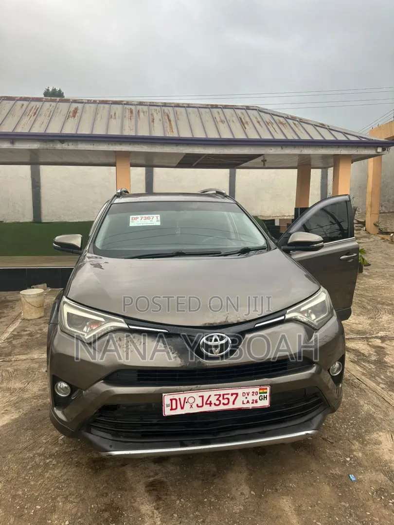 Toyota RAV4 LE AWD (2.5L 4cyl 6A) 2016 Gray
