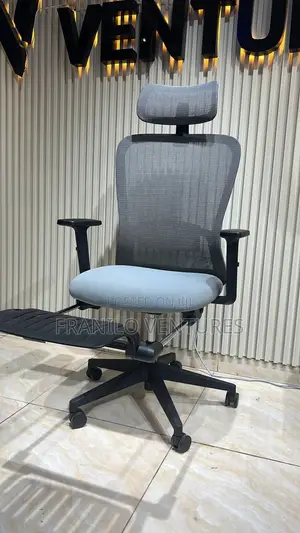 Office Chair With Footrest, Adjustable Arm