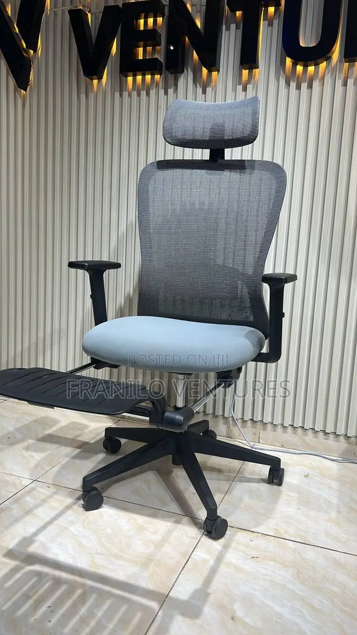 Office Chair With Footrest, Adjustable Arm