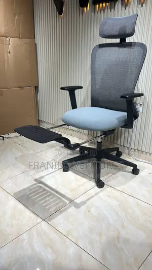 Office Chair With Footrest, Adjustable Arm