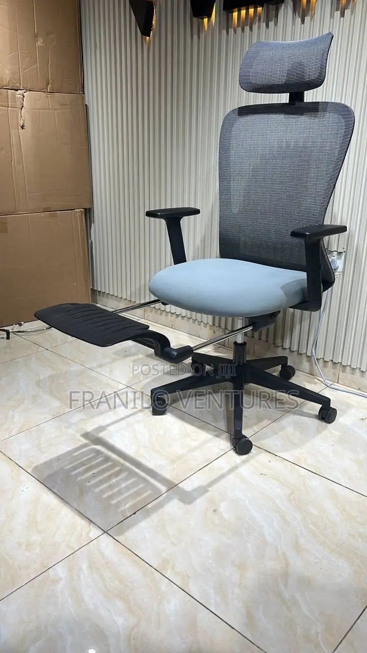 Office Chair With Footrest, Adjustable Arm