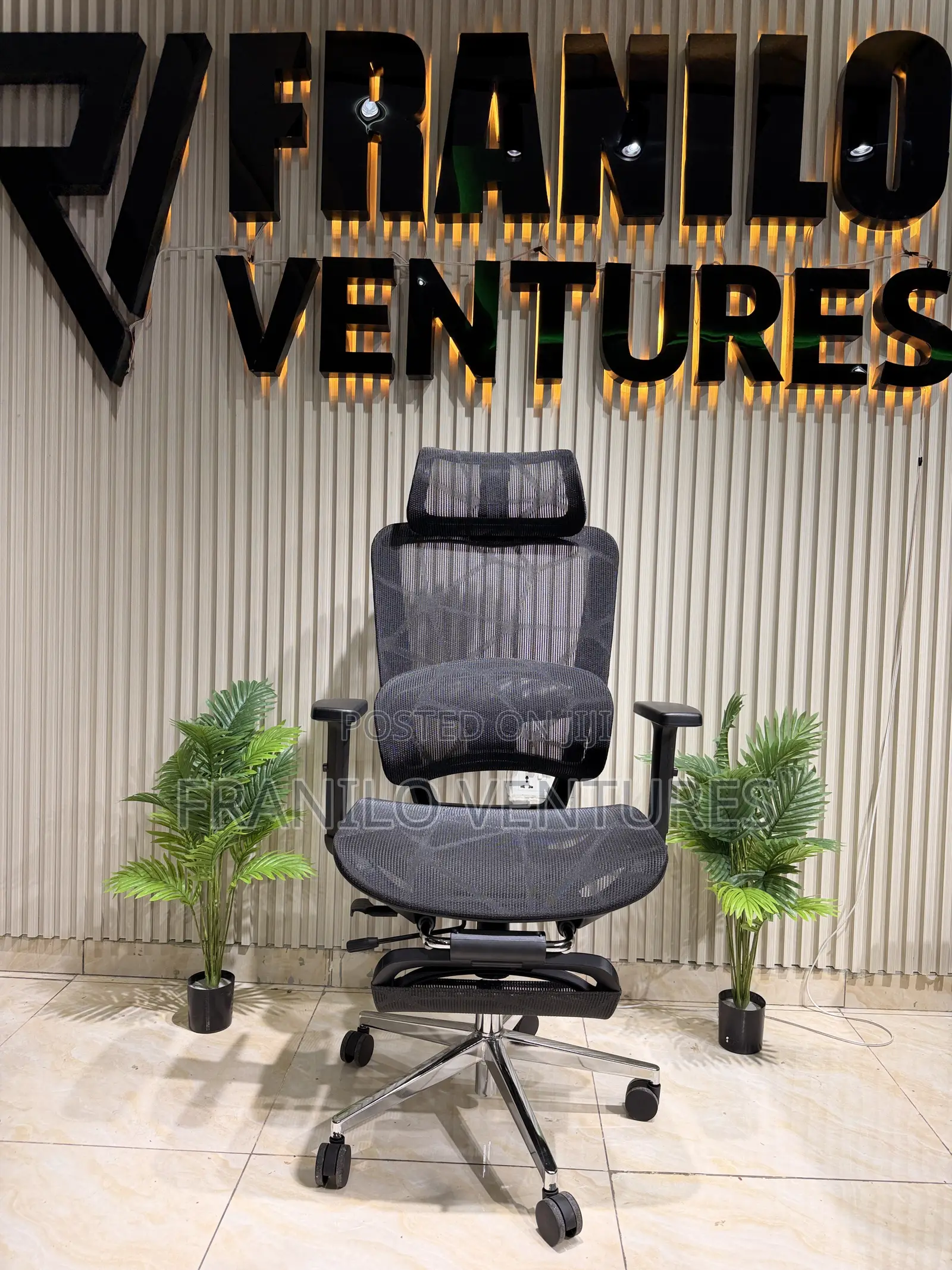 Executive Ergonomic Office Chair
