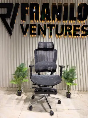 Executive Ergonomic Office Chair