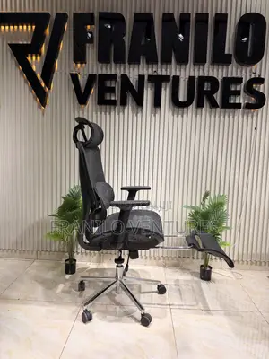 Executive Ergonomic Office Chair