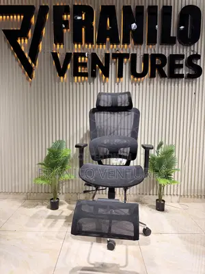 Executive Ergonomic Office Chair