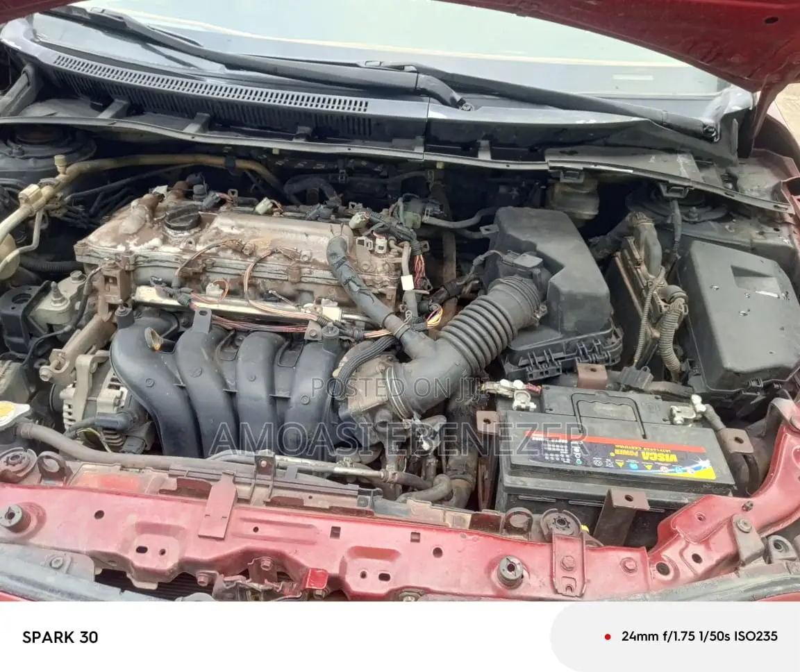 Toyota Corolla LE 4dr Sedan (1.8L 4cyl 4A) 2010 Red