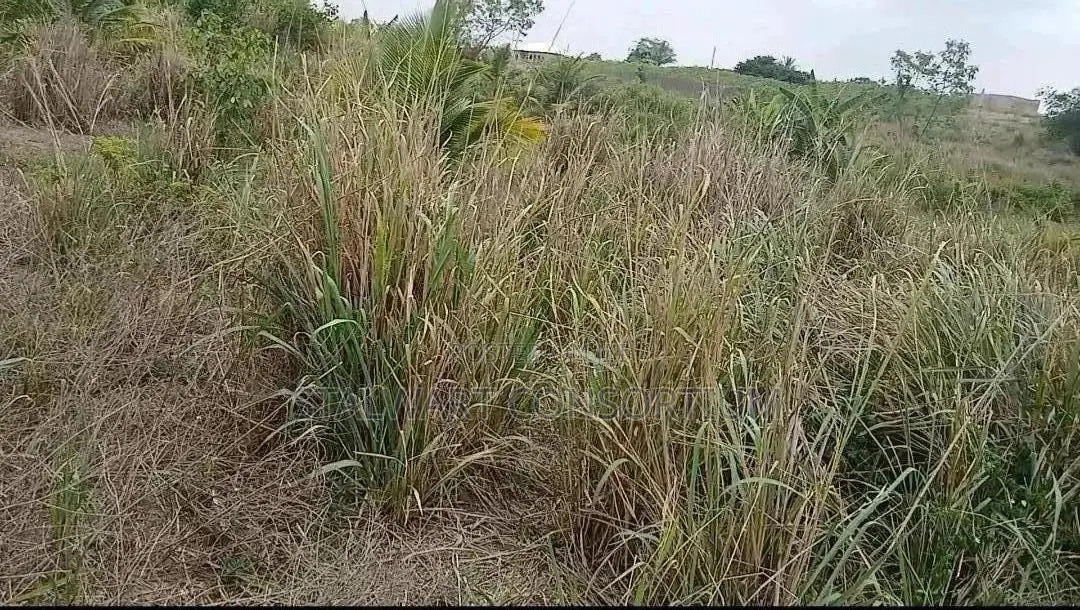 Registered Land for Sale at the Onion Market on the Accra-Akotsi Road