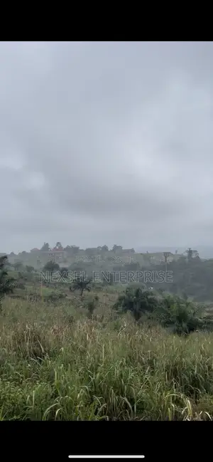 Peduase Lodge Land for Sale.