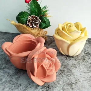 Gypsum Mold of Rose Shaped Jar With Lid