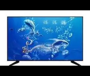 32 Inch Flat Screen Television (Tv)