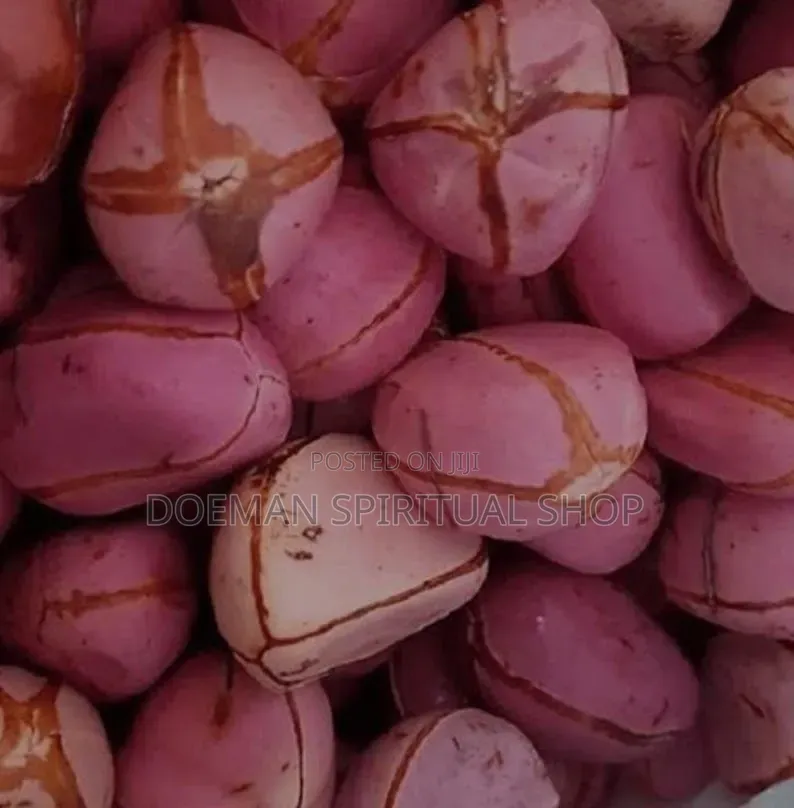 Cola Nut (Goro)