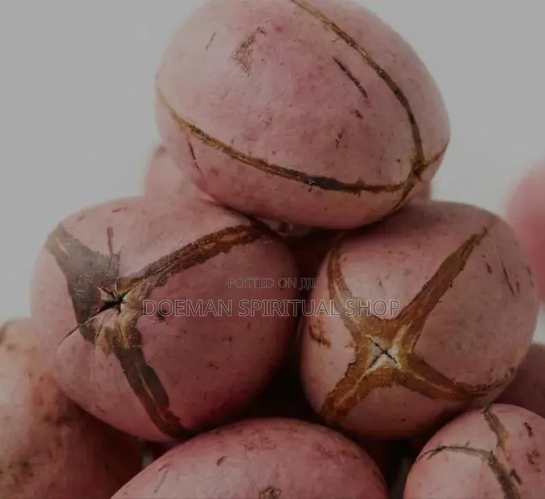 Cola Nut (Goro)