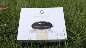 Pixel Watch 1