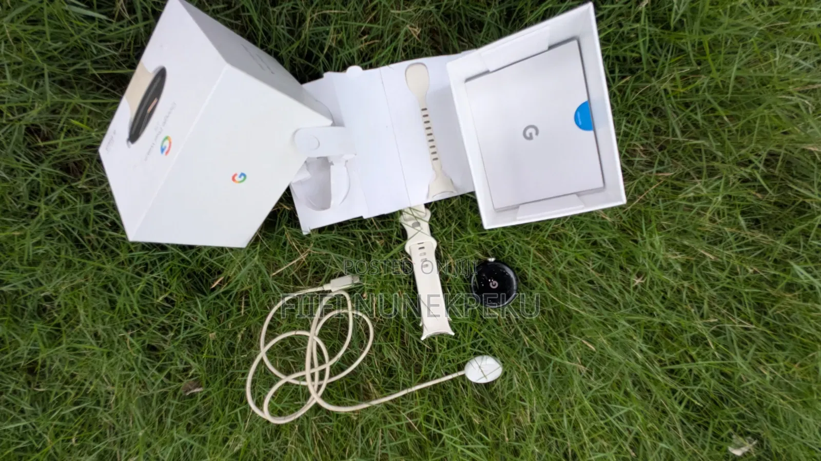 Pixel Watch 1